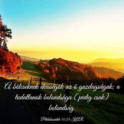 Picture 03 - Példabeszédek 14:24 KAR - A bölcseknek ékességök az õ gazdagságuk; a - Bible Verse Picture