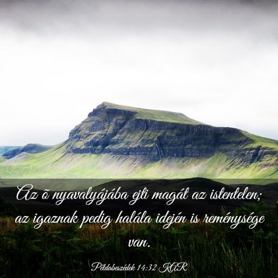Picture 03 - Példabeszédek 14:32 KAR - Az õ nyavalyájába ejti magát az istentelen; - Bible Verse Picture