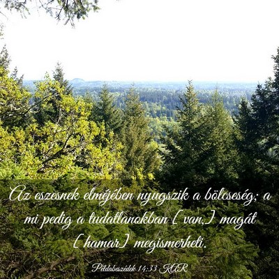 Picture 03 - Példabeszédek 14:33 KAR - Az eszesnek elméjében nyugszik a bölcseség; a - Bible Verse Picture