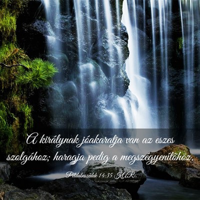 Picture 03 - Példabeszédek 14:35 KAR - A királynak jóakaratja van az eszes szolgához; - Bible Verse Picture