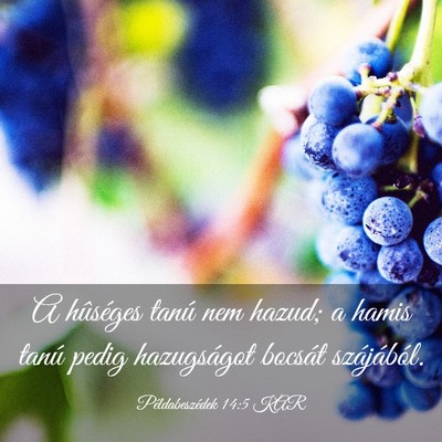 Picture 03 - Példabeszédek 14:5 KAR - A hûséges tanú nem hazud; a hamis tanú pedig - Bible Verse Picture