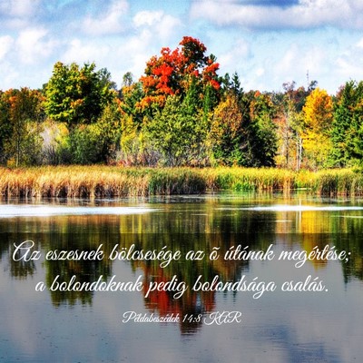 Picture 03 - Példabeszédek 14:8 KAR - Az eszesnek bölcsesége az õ útának - Bible Verse Picture