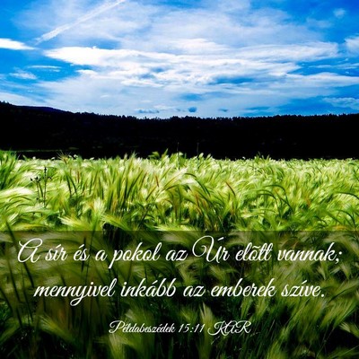 Picture 03 - Példabeszédek 15:11 KAR - A sír és a pokol az Úr elõtt vannak; - Bible Verse Picture