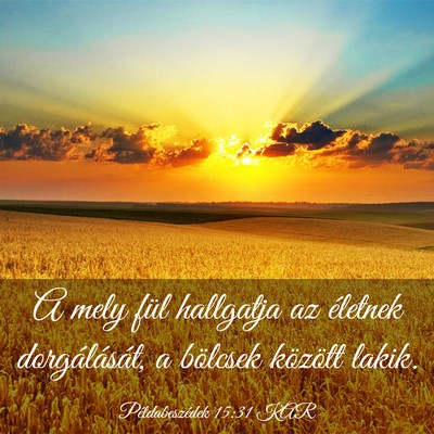 Picture 03 - Példabeszédek 15:31 KAR - A mely fül hallgatja az életnek dorgálását, - Bible Verse Picture