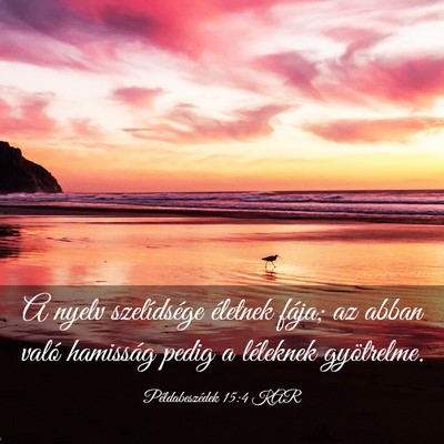Picture 03 - Példabeszédek 15:4 KAR - A nyelv szelídsége életnek fája; az abban - Bible Verse Picture