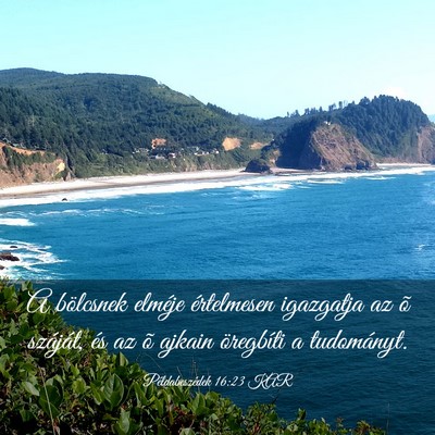 Picture 03 - Példabeszédek 16:23 KAR - A bölcsnek elméje értelmesen igazgatja az õ - Bible Verse Picture