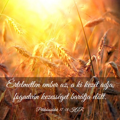 Picture 03 - Példabeszédek 17:18 KAR - Értelmetlen ember az, a ki kezét adja, - Bible Verse Picture
