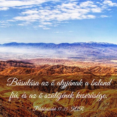 Picture 03 - Példabeszédek 17:25 KAR - Búsulása az õ atyjának a bolond fiú, és az - Bible Verse Picture