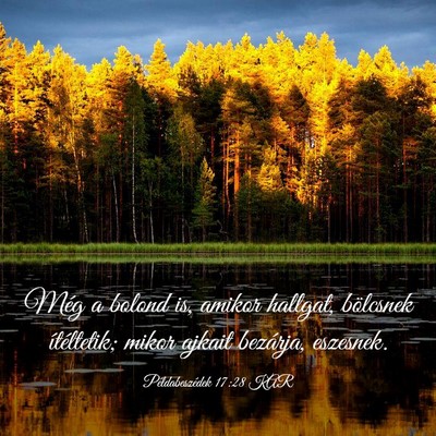 Picture 03 - Példabeszédek 17:28 KAR - Még a bolond is, amikor hallgat, bölcsnek - Bible Verse Picture