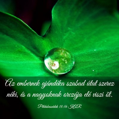 Picture 03 - Példabeszédek 18:16 KAR - Az embernek ajándéka szabad útat szerez néki, - Bible Verse Picture