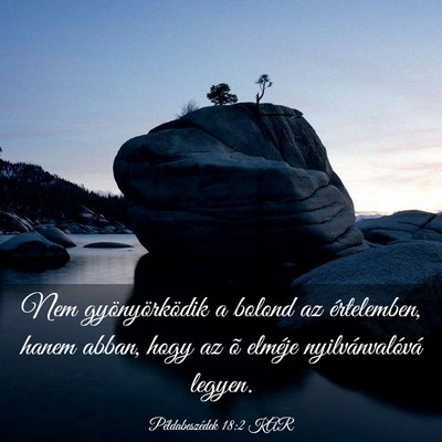 Picture 03 - Példabeszédek 18:2 KAR - Nem gyönyörködik a bolond az értelemben, - Bible Verse Picture
