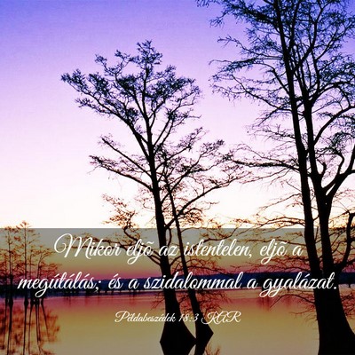 Picture 03 - Példabeszédek 18:3 KAR - Mikor eljõ az istentelen, eljõ a megútálás; - Bible Verse Picture