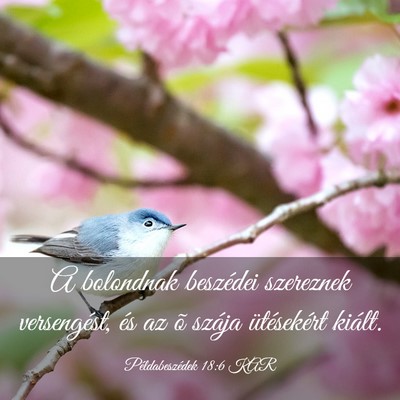 Picture 03 - Példabeszédek 18:6 KAR - A bolondnak beszédei szereznek versengést, és - Bible Verse Picture