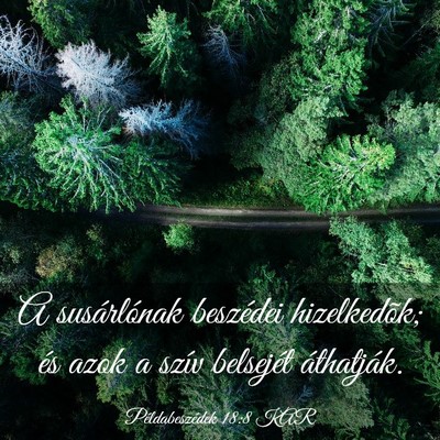 Picture 03 - Példabeszédek 18:8 KAR - A susárlónak beszédei hizelkedõk; és azok a - Bible Verse Picture