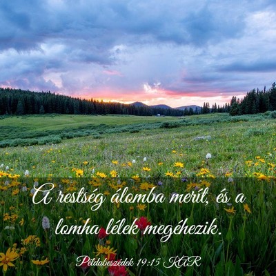 Picture 03 - Példabeszédek 19:15 KAR - A restség álomba merít, és a lomha lélek - Bible Verse Picture