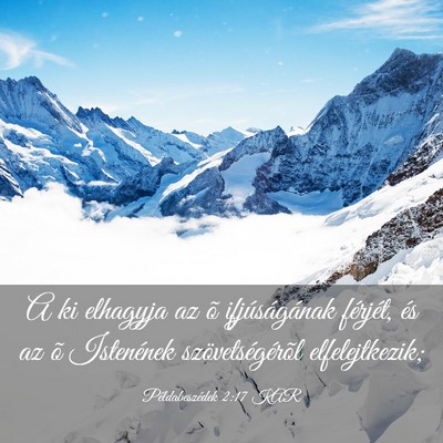 Picture 03 - Példabeszédek 2:17 KAR - A ki elhagyja az õ ifjúságának férjét, és - Bible Verse Picture