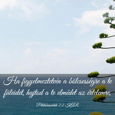 Picture 03 - Példabeszédek 2:2 KAR - Ha figyelmeztetvén a bölcsességre a te - Bible Verse Picture
