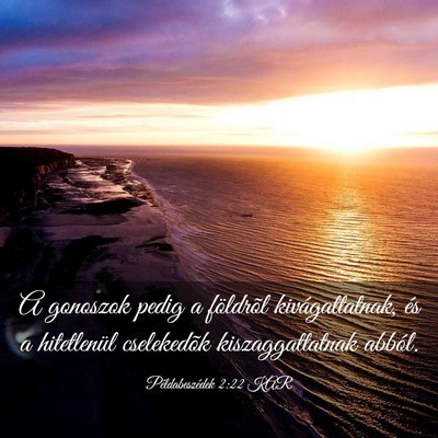 Picture 03 - Példabeszédek 2:22 KAR - A gonoszok pedig a földrõl kivágattatnak, és - Bible Verse Picture