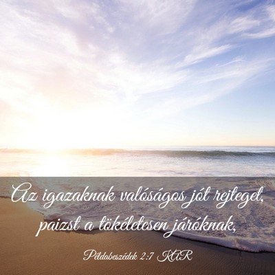 Picture 03 - Példabeszédek 2:7 KAR - Az igazaknak valóságos jót rejteget, paizst a - Bible Verse Picture