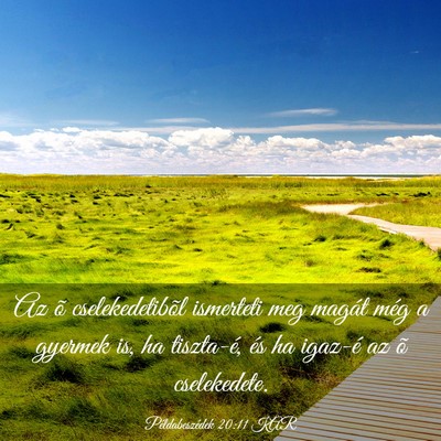 Picture 03 - Példabeszédek 20:11 KAR - Az õ cselekedetibõl ismerteti meg magát még a - Bible Verse Picture