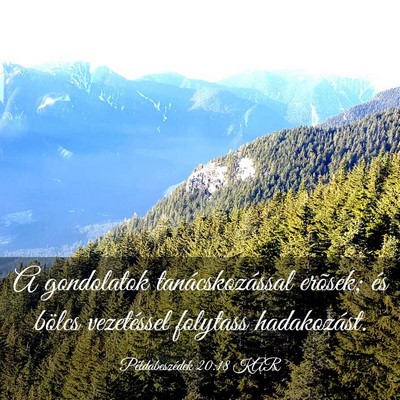 Picture 03 - Példabeszédek 20:18 KAR - A gondolatok tanácskozással erõsek; és bölcs - Bible Verse Picture
