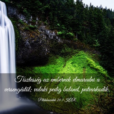 Picture 03 - Példabeszédek 20:3 KAR - Tisztesség az embernek elmaradni a - Bible Verse Picture