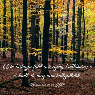 Picture 03 - Példabeszédek 21:13 KAR - A ki bedugja fülét a szegény kiáltására; õ - Bible Verse Picture