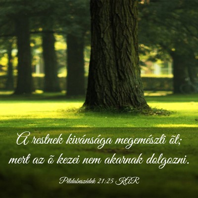 Picture 03 - Példabeszédek 21:25 KAR - A restnek kivánsága megemészti õt; mert az õ - Bible Verse Picture