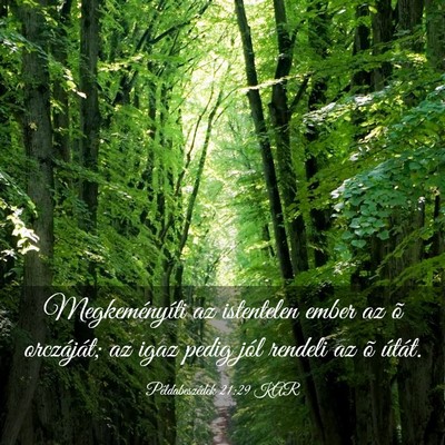 Picture 03 - Példabeszédek 21:29 KAR - Megkeményíti az istentelen ember az õ - Bible Verse Picture