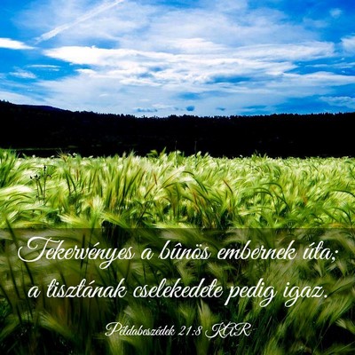 Picture 03 - Példabeszédek 21:8 KAR - Tekervényes a bûnös embernek úta; a - Bible Verse Picture
