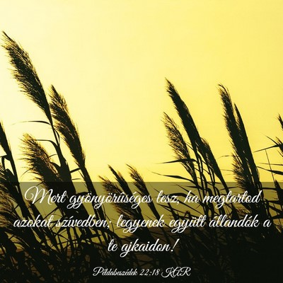 Picture 03 - Példabeszédek 22:18 KAR - Mert gyönyörûséges lesz, ha megtartod azokat - Bible Verse Picture