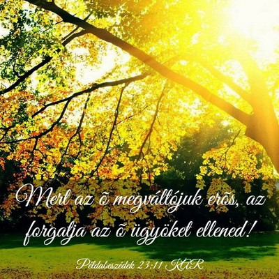 Picture 03 - Példabeszédek 23:11 KAR - Mert az õ megváltójuk erõs, az forgatja az õ - Bible Verse Picture
