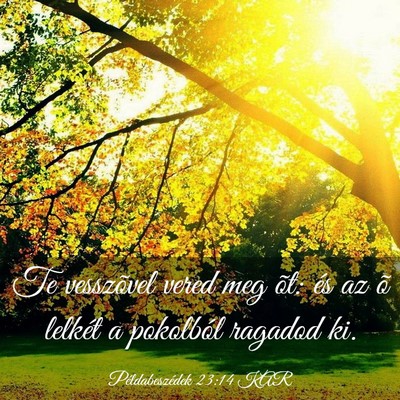 Picture 03 - Példabeszédek 23:14 KAR - Te vesszõvel vered meg õt: és az õ lelkét a - Bible Verse Picture