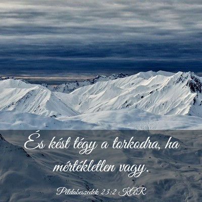 Picture 03 - Példabeszédek 23:2 KAR - És kést tégy a torkodra, ha mértékletlen - Bible Verse Picture