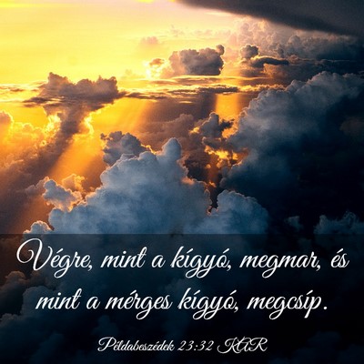 Picture 03 - Példabeszédek 23:32 KAR - Végre, mint a kígyó, megmar, és mint a - Bible Verse Picture