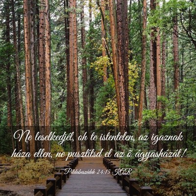 Picture 03 - Példabeszédek 24:15 KAR - Ne leselkedjél, oh te istentelen, az igaznak - Bible Verse Picture