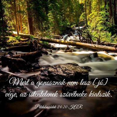 Picture 03 - Példabeszédek 24:20 KAR - Mert a gonosznak nem lesz [jó] vége, az - Bible Verse Picture