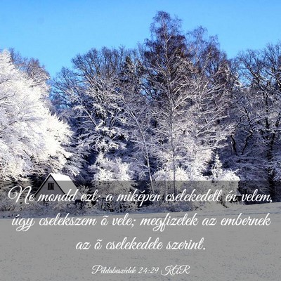 Picture 03 - Példabeszédek 24:29 KAR - Ne mondd ezt: a miképen cselekedett én velem, - Bible Verse Picture