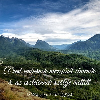 Picture 03 - Példabeszédek 24:30 KAR - A rest embernek mezejénél elmenék, és az - Bible Verse Picture