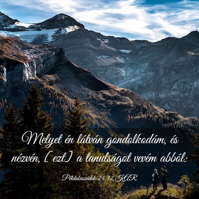 Picture 03 - Példabeszédek 24:32 KAR - Melyet én látván gondolkodám, és nézvén, - Bible Verse Picture
