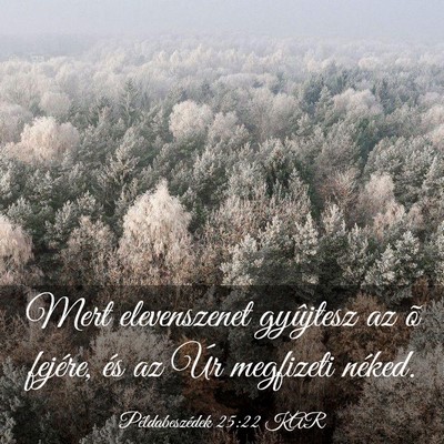 Picture 03 - Példabeszédek 25:22 KAR - Mert elevenszenet gyûjtesz az õ fejére, és az - Bible Verse Picture