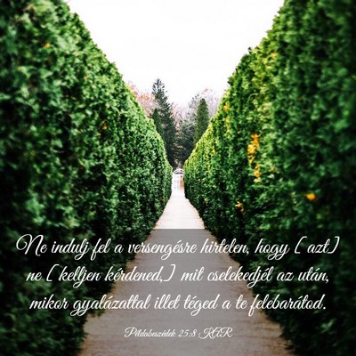 Picture 03 - Példabeszédek 25:8 KAR - Ne indulj fel a versengésre hirtelen, hogy [azt] - Bible Verse Picture