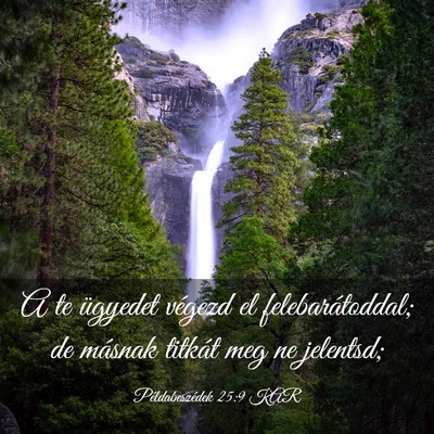 Picture 03 - Példabeszédek 25:9 KAR - A te ügyedet végezd el felebarátoddal; de - Bible Verse Picture