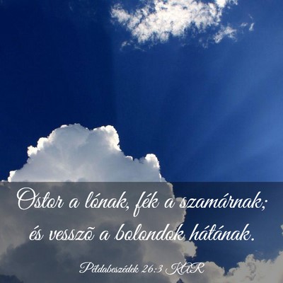 Picture 03 - Példabeszédek 26:3 KAR - Ostor a lónak, fék a szamárnak; és vesszõ a - Bible Verse Picture