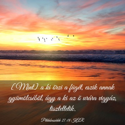 Picture 03 - Példabeszédek 27:18 KAR - [Mint] a ki õrzi a fügét, eszik annak - Bible Verse Picture