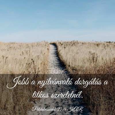 Picture 03 - Példabeszédek 27:5 KAR - Jobb a nyilvánvaló dorgálás a titkos - Bible Verse Picture