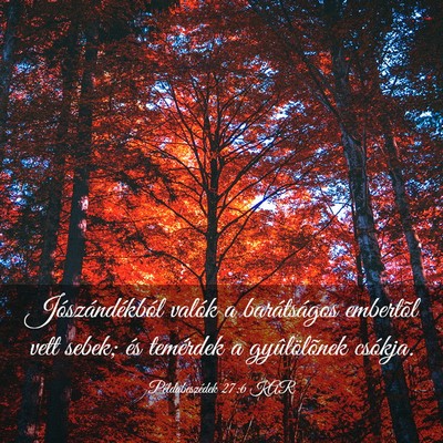 Picture 03 - Példabeszédek 27:6 KAR - Jószándékból valók a barátságos embertõl - Bible Verse Picture