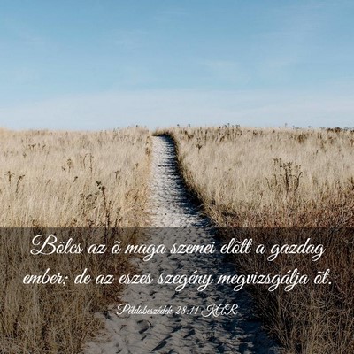 Picture 03 - Példabeszédek 28:11 KAR - Bölcs az õ maga szemei elõtt a gazdag ember; - Bible Verse Picture