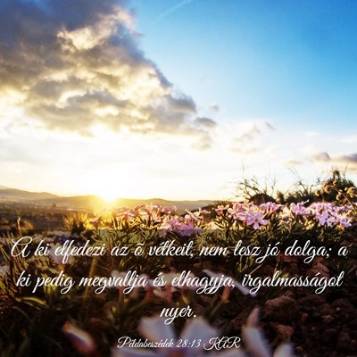 Picture 03 - Példabeszédek 28:13 KAR - A ki elfedezi az õ vétkeit, nem lesz jó dolga; - Bible Verse Picture