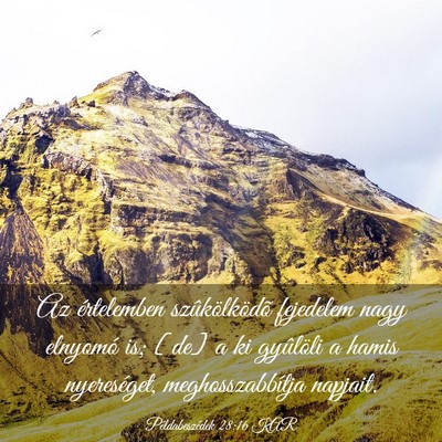 Picture 03 - Példabeszédek 28:16 KAR - Az értelemben szûkölködõ fejedelem nagy - Bible Verse Picture